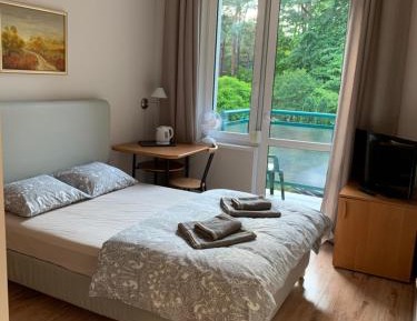 Standard King Room