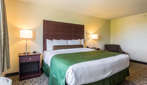 One-Bedroom Suite