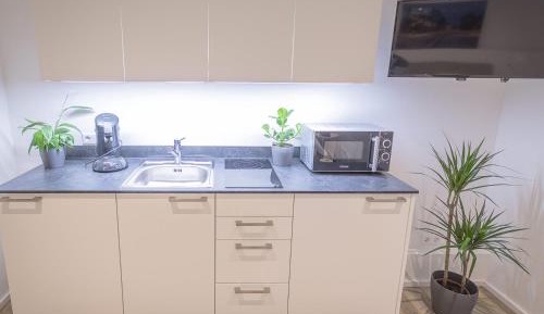 One-Bedroom Apartment with Terrace