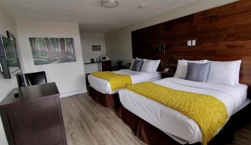 Double Room with Two Double Beds - Dog Friendly
