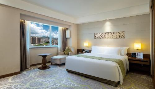 Standard King Room with City View - Lounge Access