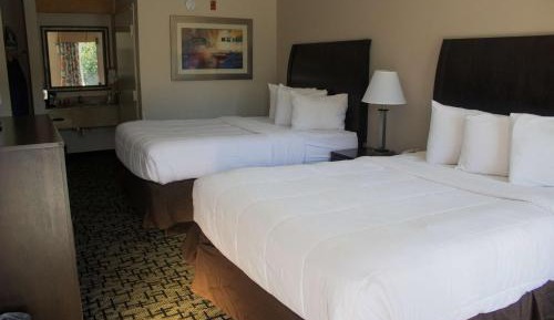 Queen Room with Two Queen Beds and Communication Assistance 