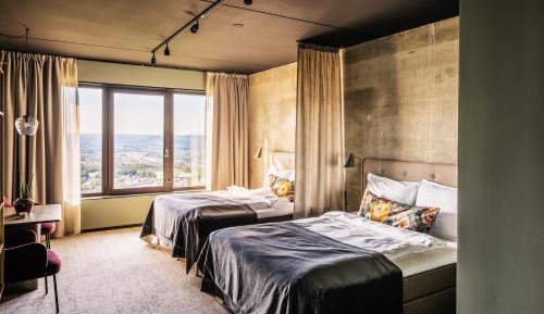 Superior Double or Twin Room with City View