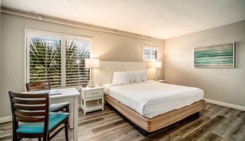 Standard King Room