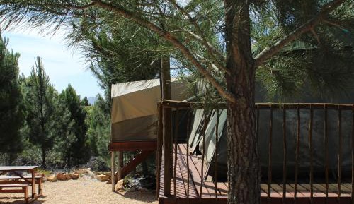 Tent