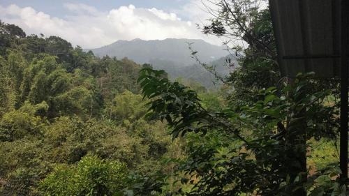 One Bedroom Villa with Mountain View