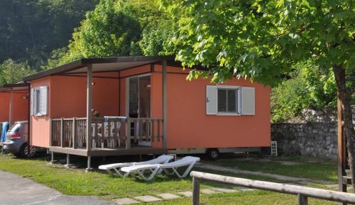 Mobile Home