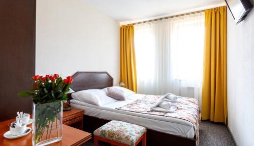 Large Single Room