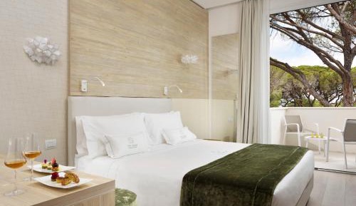 Comfort Double Room with Balcony or Garden