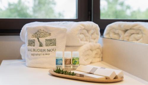 Deluxe Double or Twin Room with Garden View