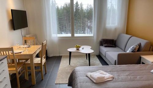 Standard Studio - Private Sauna