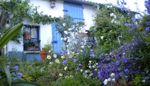 One-Bedroom Apartment (2 - 4 Adults)