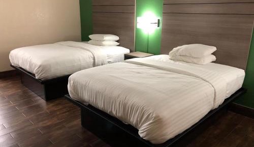 Double Room with Two Double Beds