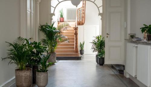 King Room with Garden View