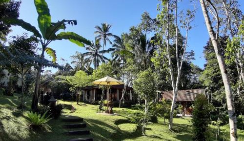 Deluxe Bungalow with Garden View