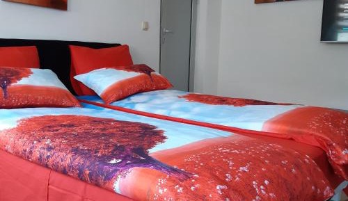 Deluxe Apartment with Garden View
