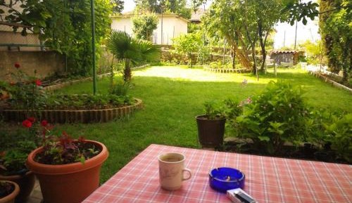 Studio with Garden View