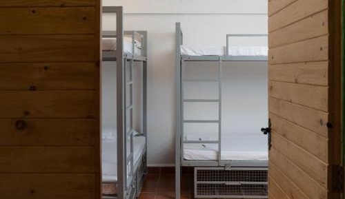 Bed in 4-Bed Mixed Dormitory Room