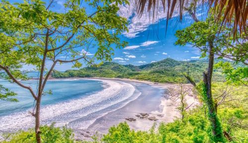 Oceanview Bungalow