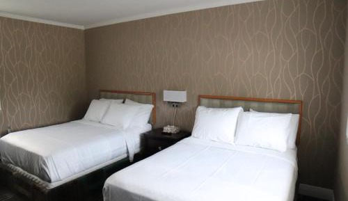 Double Room with Two Double Beds
