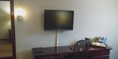 Basic Suite