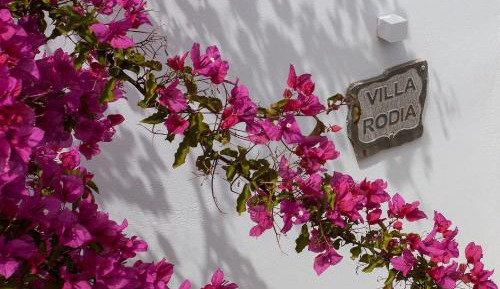 Villa 3 Bedroom with Rooftop Terrace Sea View