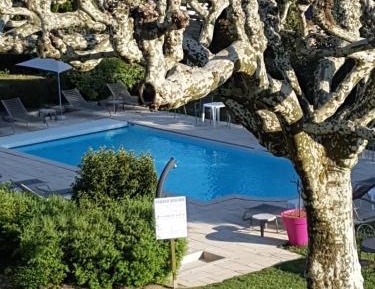 Superior Double Room with Garden View