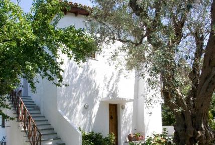 Villa with Garden View