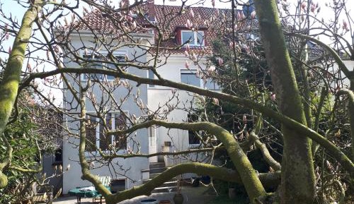 Single Room with Garden View