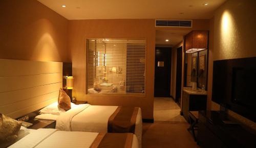 Executive Twin Room