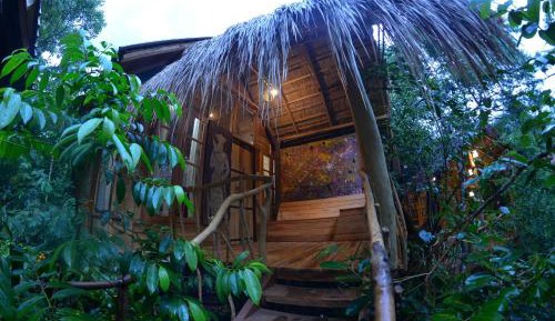 Luxury Tree House