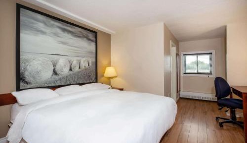 King Studio with Two King Beds - Non-Smoking