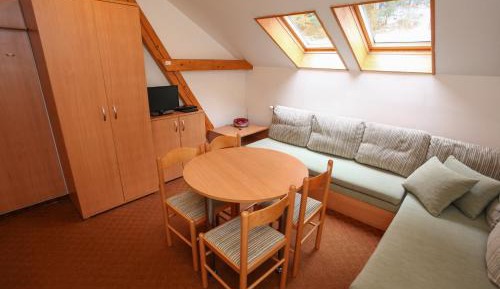 Duplex Apartment