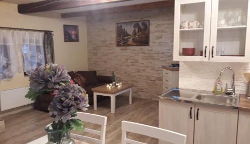 Duplex Apartment
