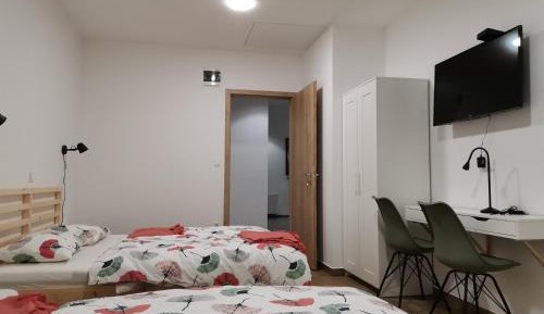 Superior Double or Twin Room with Terrace