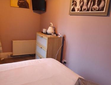 Budget Single Room