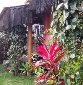 Family Bungalow