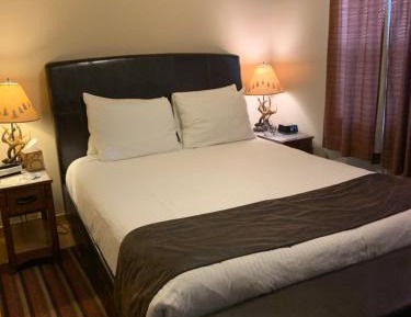 Pet Friendly Suite # 3