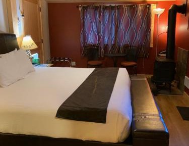 Pet Friendly Room # 1
