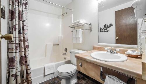 King Room - Accessible/Non-Smoking