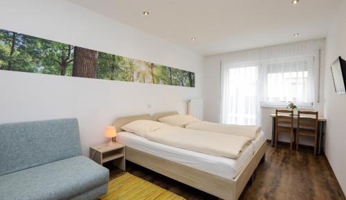 Comfort Double Room with Terrace