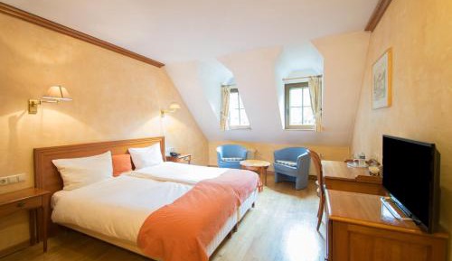 Double or Twin Room with River View