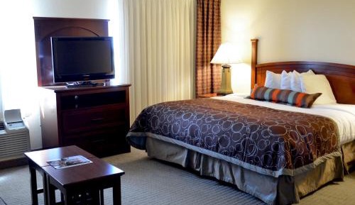 Studio King Suite with Sofa Bed