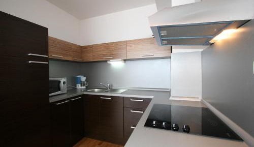 One-Bedroom Apartment (3 Adults)