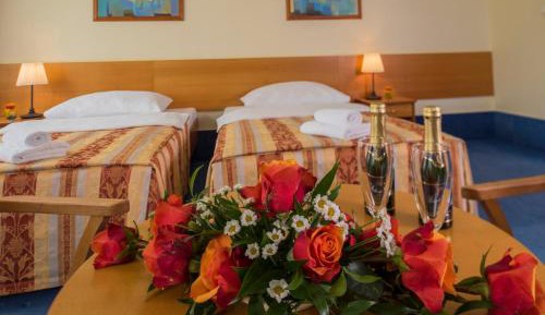 Executive Double or Twin Room with Free Parking