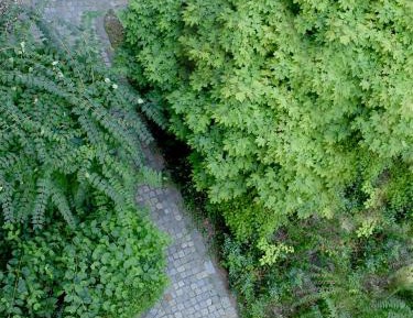 Apartment with Garden View