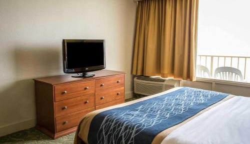 Room with Two Double Beds with Ocean View - Pet Friendly