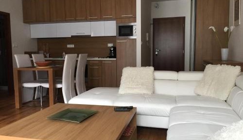 Apartment with Mountain View