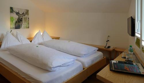 Modern Double Room