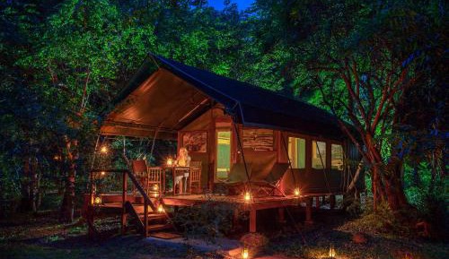Tent with Safari